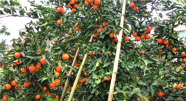 1a91be42-1acb-4a71-b3a0-9915ec5d4d8c 1a91be42-1acb-4a71-b3a0-9915ec5d4d8c