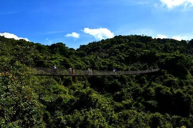 微信圖片_20200304094900 微信圖片_20200304094900