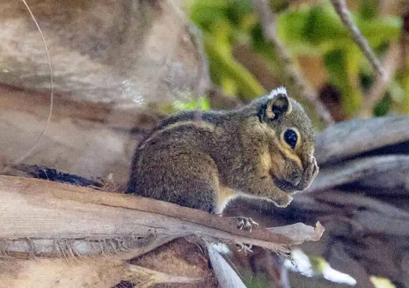 微信圖片_20200313203147