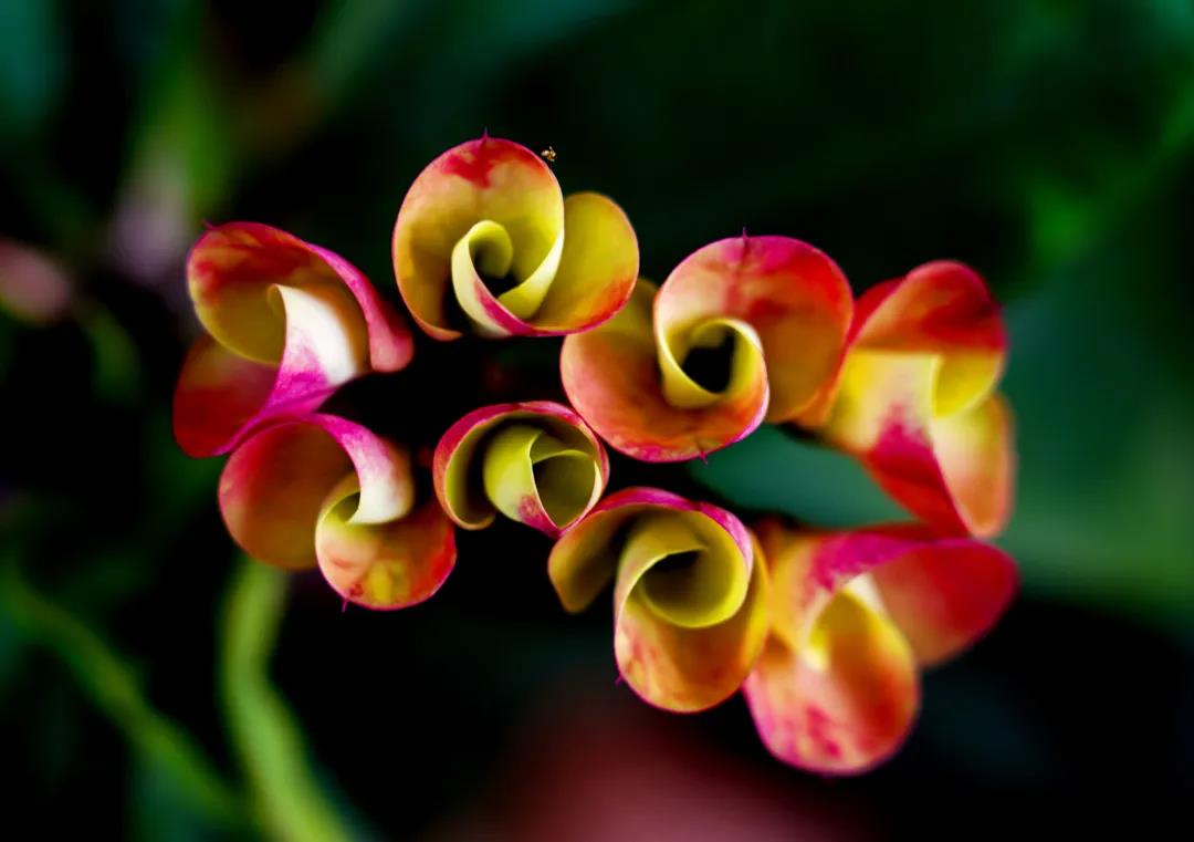 微信圖片_20200313203157