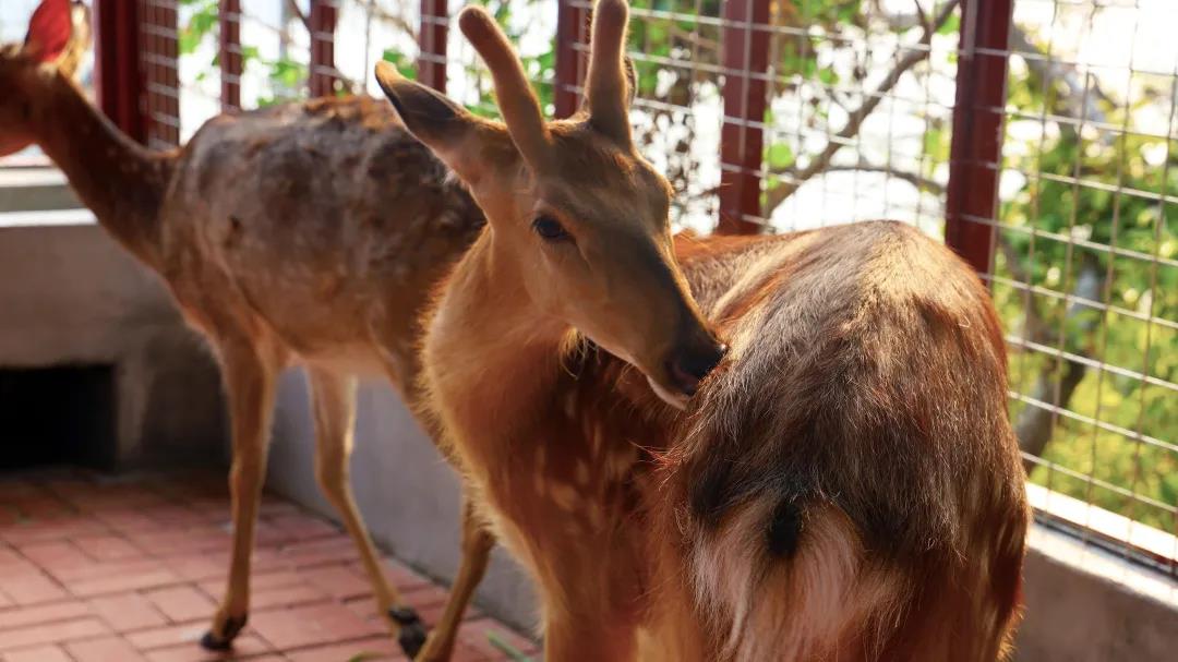 微信圖片_20200315115110