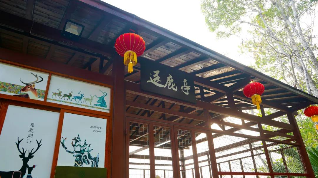 微信圖片_20200315115128