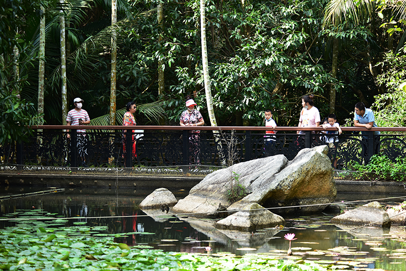 微信圖片_20200315205303 微信圖片_20200315205303