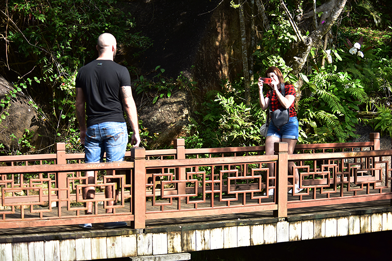 微信圖片_20200315205326 微信圖片_20200315205326