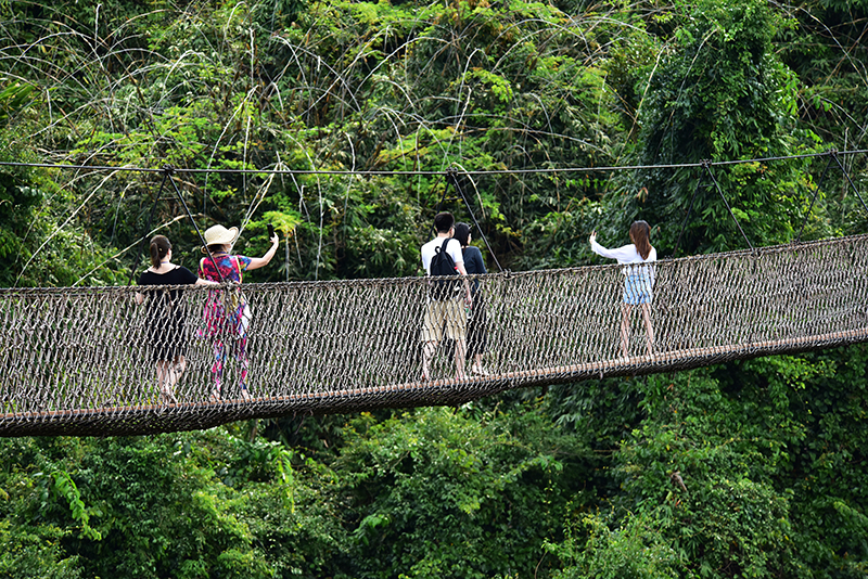 微信圖片_20200315205306 微信圖片_20200315205306