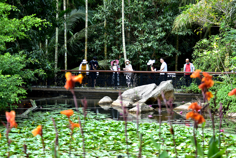 微信圖片_20200328191005