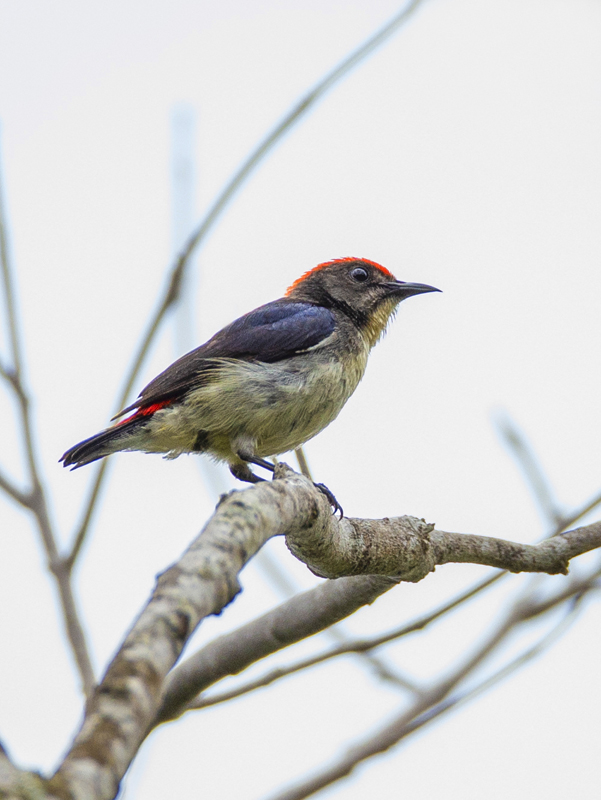 微信圖片_20200420174835