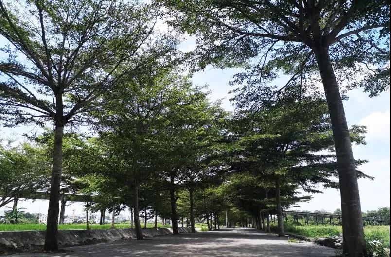 微信圖片_20200428095916