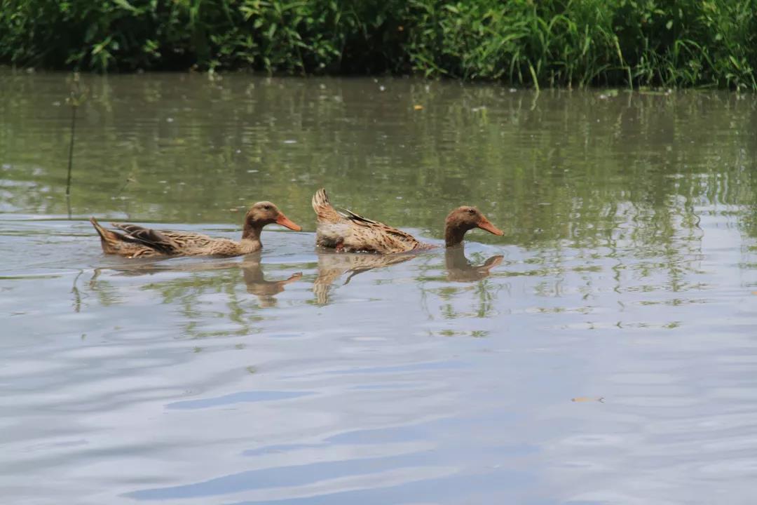 微信圖片_20200428095914