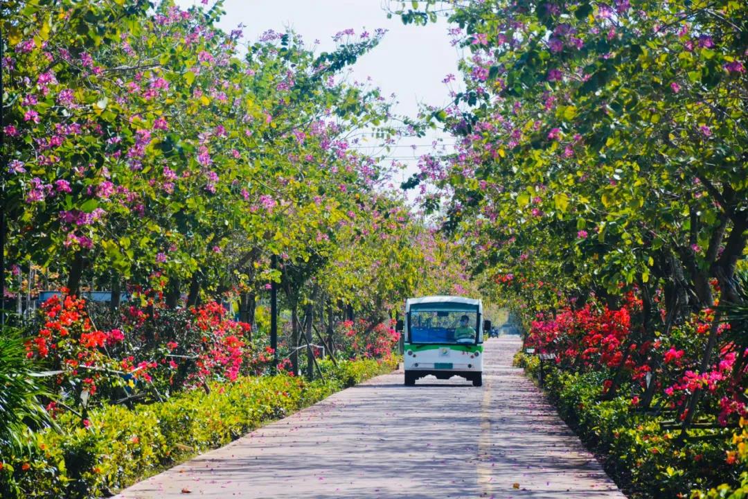 微信圖片_20200428095939