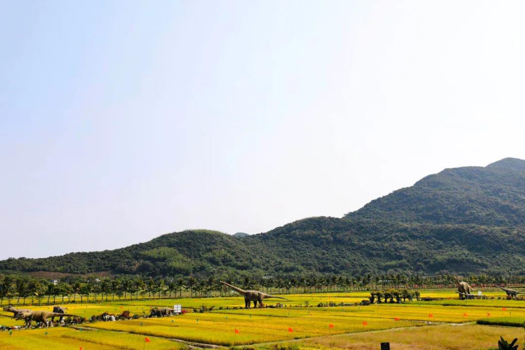 微信圖片_20200428095921