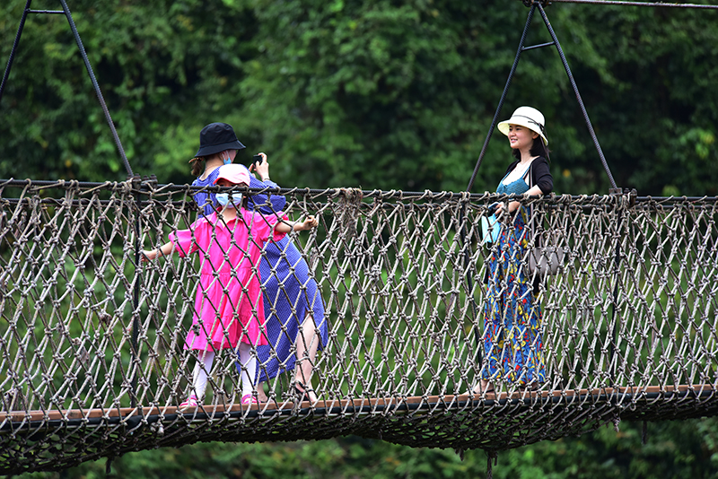 微信圖片_20200505100827 微信圖片_20200505100827