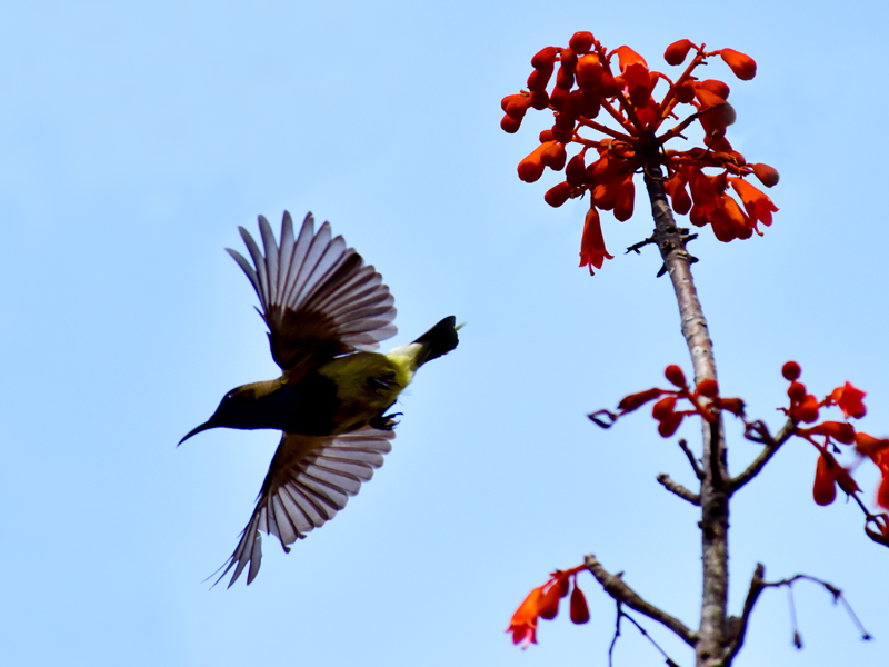 微信圖片_20200507182017