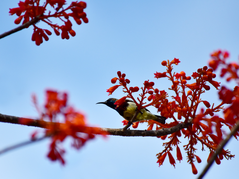 微信圖片_20200507182058