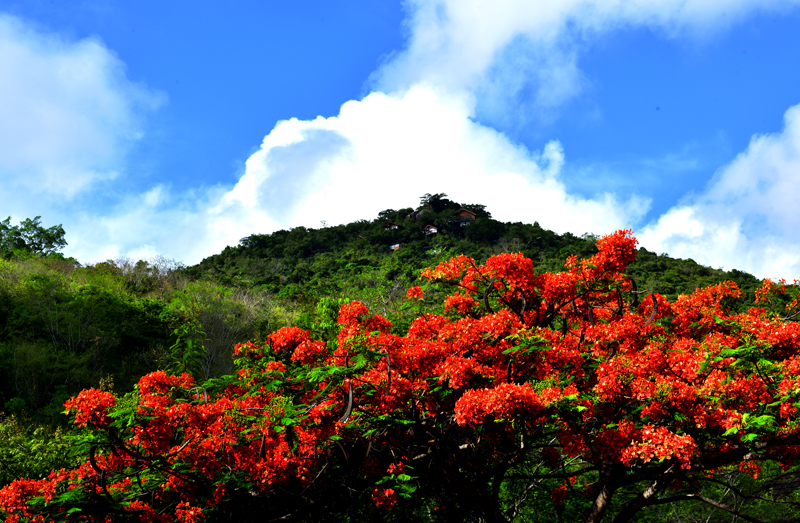 微信圖片_20200609181840 微信圖片_20200609181840