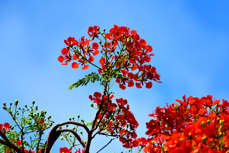 微信圖片_20200609181922 微信圖片_20200609181922