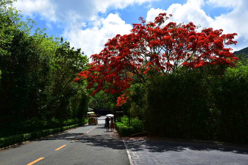 微信圖片_20200609181916 微信圖片_20200609181916