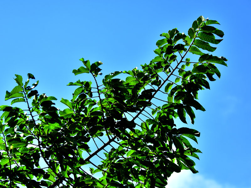 微信圖片_20200703162928