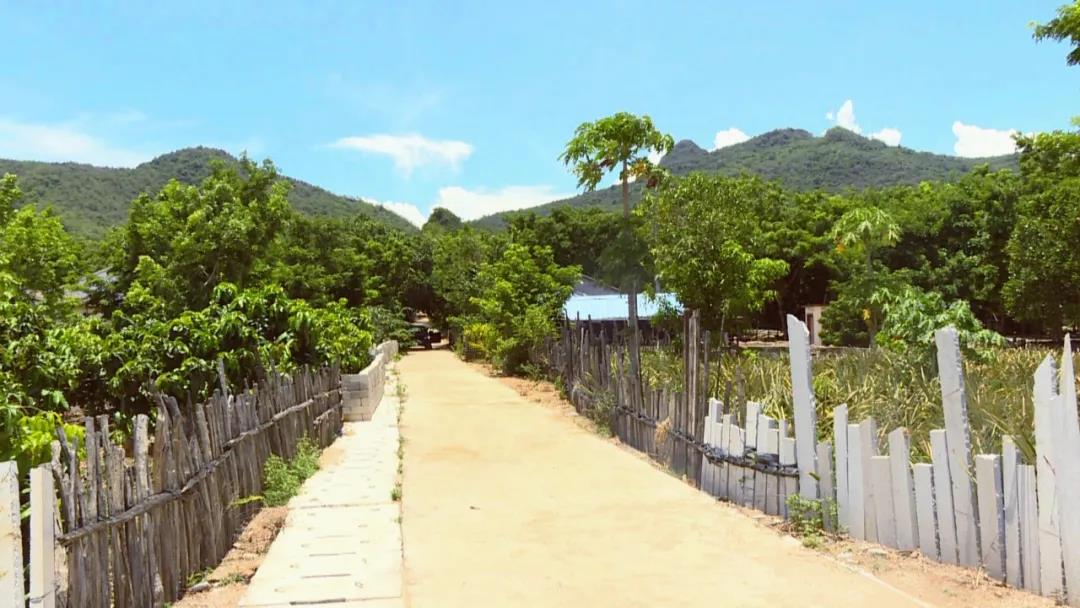 微信圖片_20200807154837