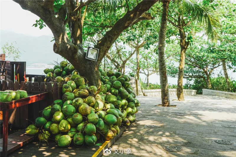 微信圖片_20200921221501