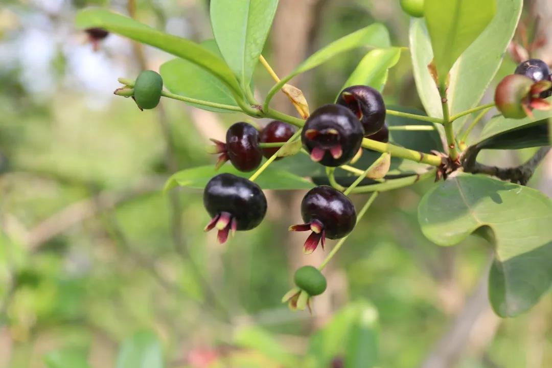 微信圖片_20200922182108 微信圖片_20200922182108