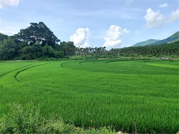 微信圖片_20200929170556 微信圖片_20200929170556