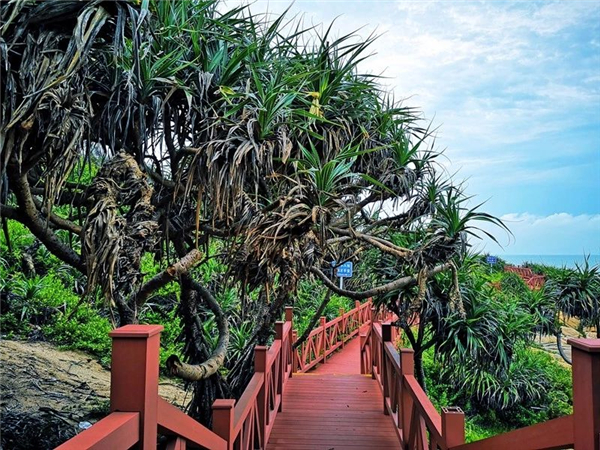 微信圖片_20200930133744 微信圖片_20200930133744