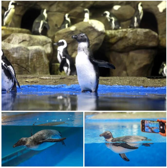 微信截圖_20200930184033 微信截圖_20200930184033