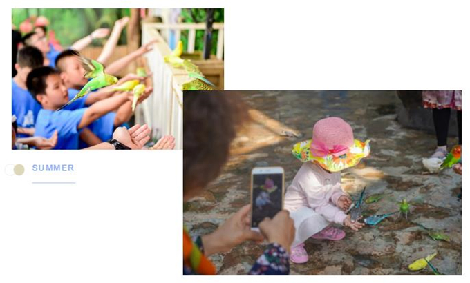 微信截圖_20200930184010 微信截圖_20200930184010