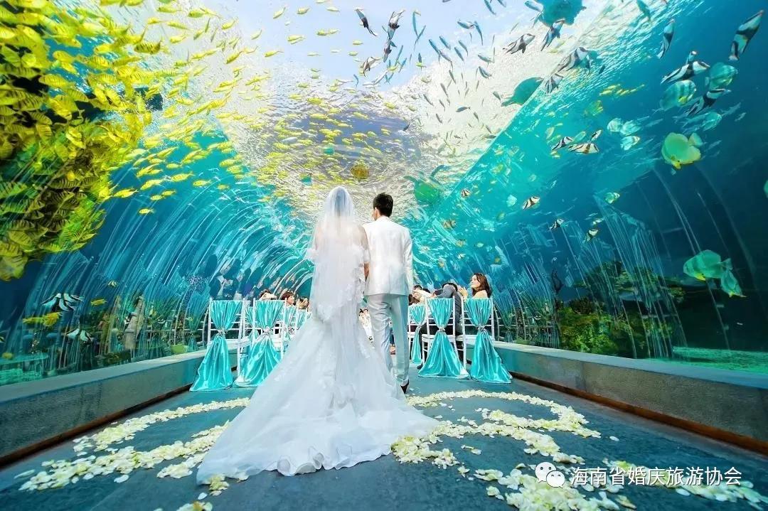 微信圖片_20210118164532 微信圖片_20210118164532