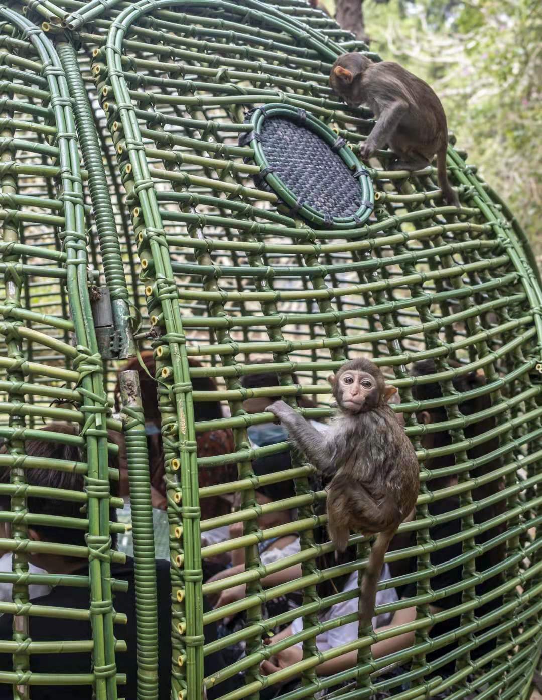 9c3bc1392e48af4fe00e55c41fcc39a