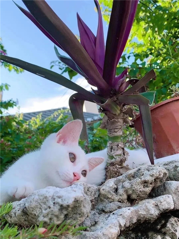 微信圖片_20210307113205