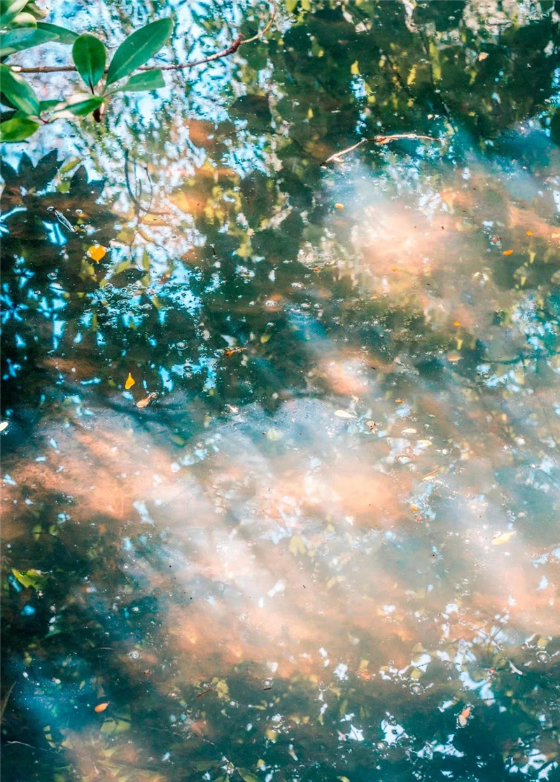 微信圖片_20210310150506