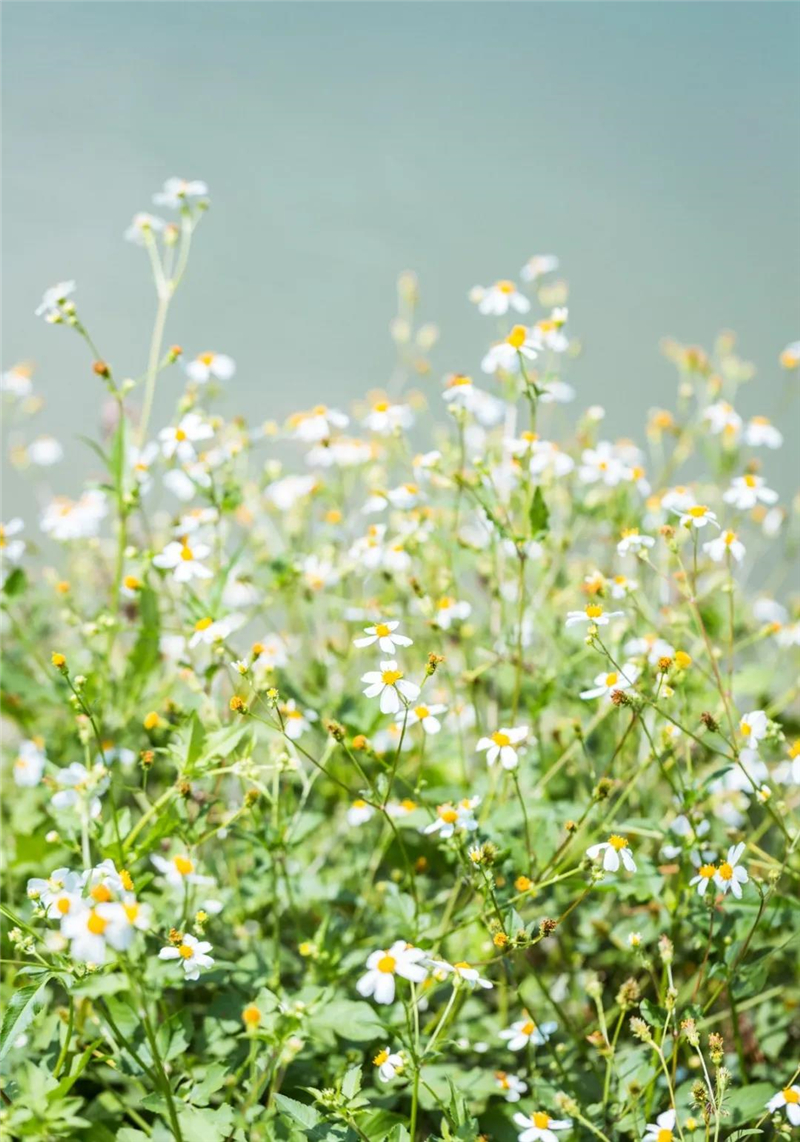 微信圖片_20210310150526