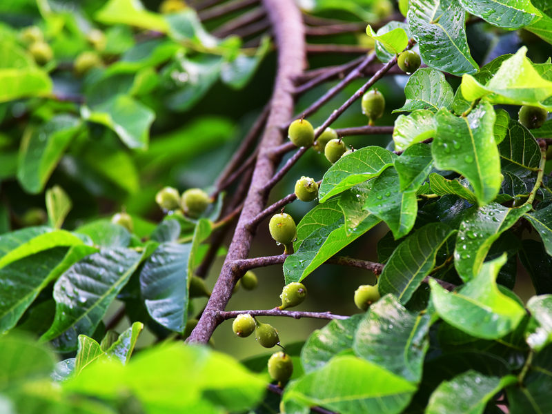 微信圖片_20210412150028 微信圖片_20210412150028