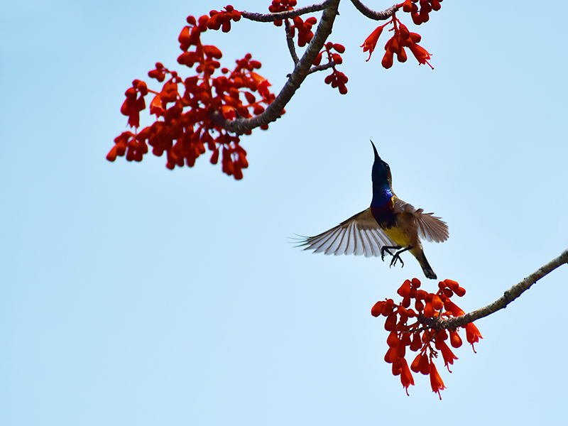 微信圖片_20210427112529