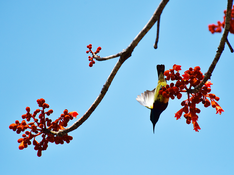 微信圖片_20210427112553