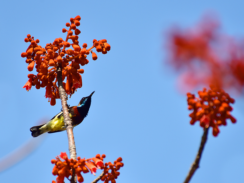 微信圖片_20210427112546