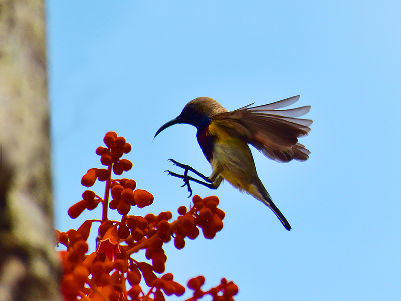 微信圖片_20210427112612