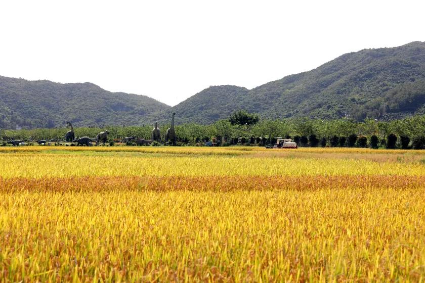 微信圖片_20210430184914 微信圖片_20210430184914