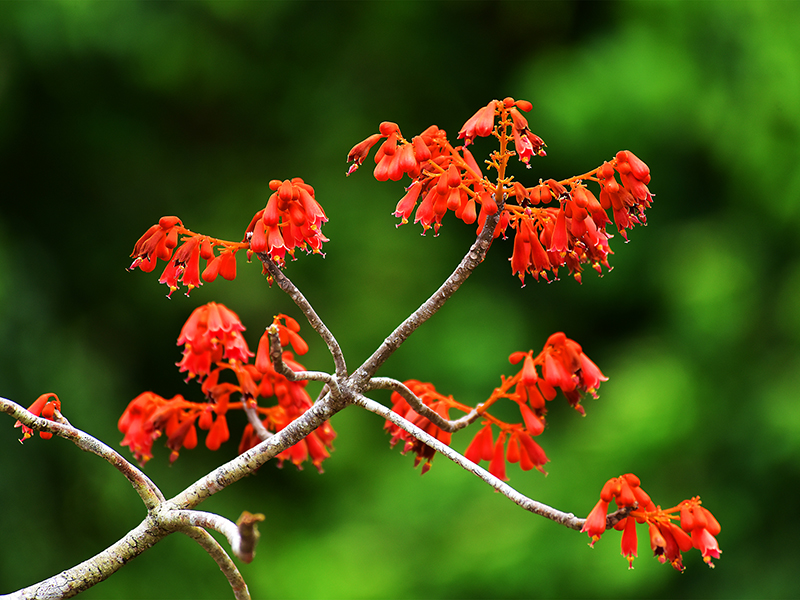 微信圖片_20220505172601