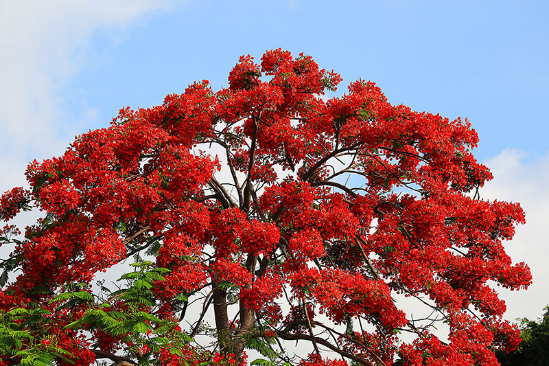 微信圖片_20220609145928