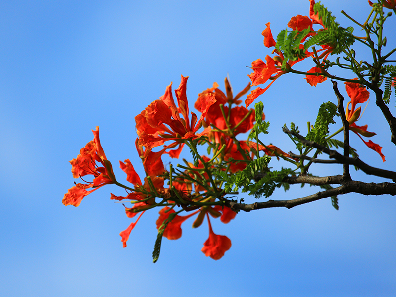 微信圖片_20220609145939