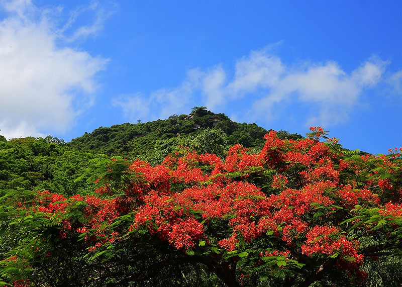 微信圖片_20220609145923