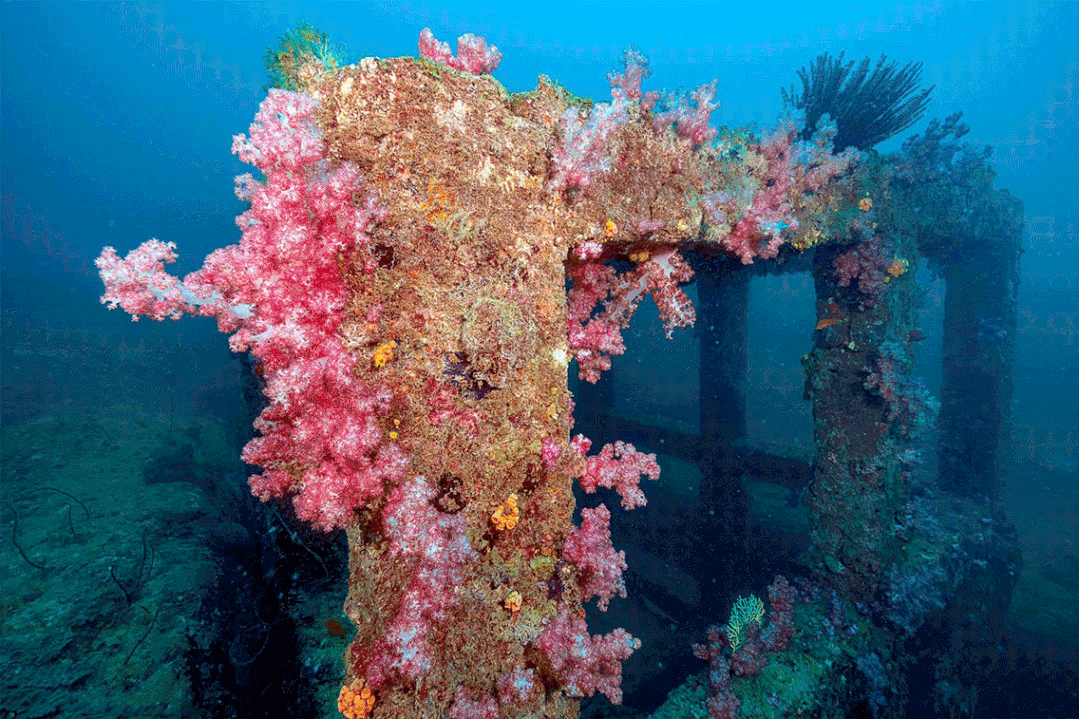 微信圖片_20221116195939 微信圖片_20221116195939