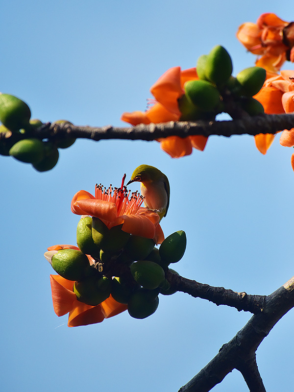 微信圖片_20230220153615