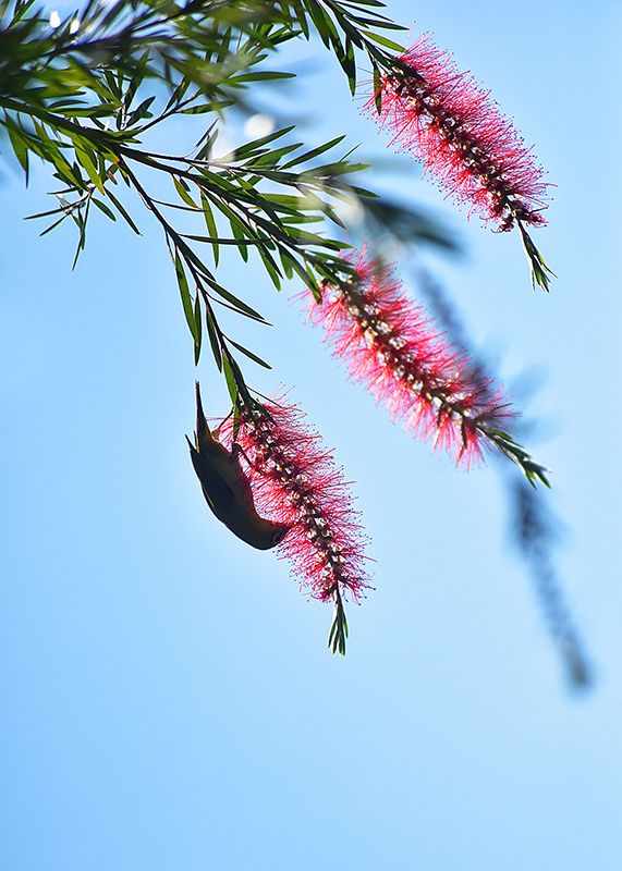 微信圖片_20230228191850