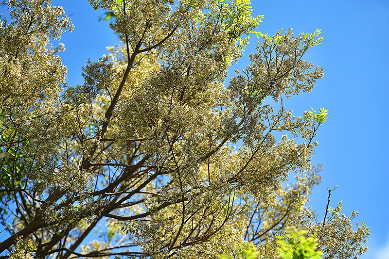 微信圖片_20230228191900