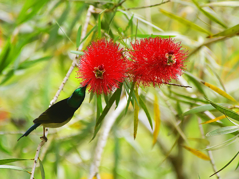 微信圖片_20230313094830