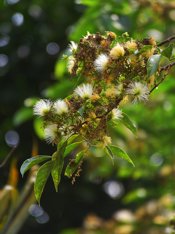 微信圖片_20230324182218